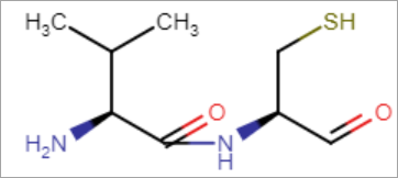 images/download/attachments/20417401/Peptides_Canvas_Clean2_1.png