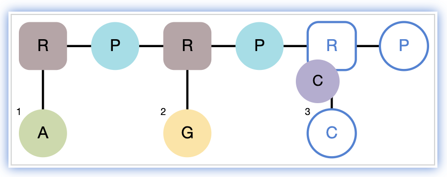 images/download/attachments/20423511/RNA_append_nucleotide.png