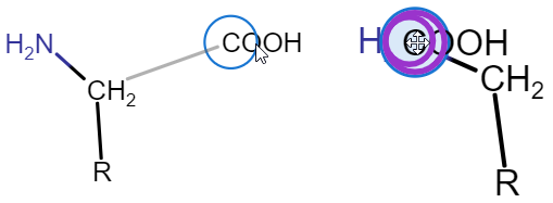 Connecting an abbreviated group to a structure