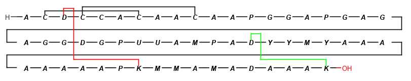 Colored peptide bridges in MarvinSketch